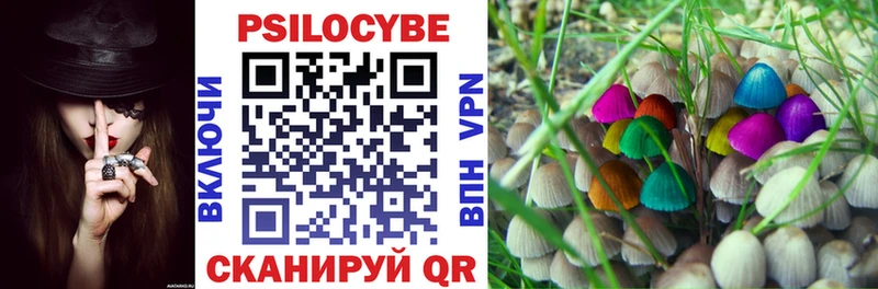 МЕГА   как найти   Серафимович  Псилоцибиновые грибы прущие грибы 