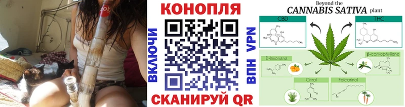 omg ССЫЛКА  Серафимович  Бошки Шишки ГИДРОПОН 